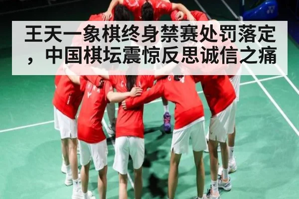 王天一象棋终身禁赛处罚落定，中国棋坛震惊反思诚信之痛
