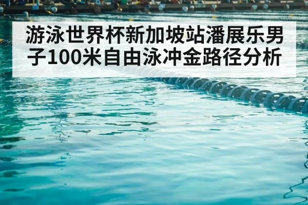 游泳世界杯新加坡站潘展乐男子100米自由泳冲金路径分析 - kaiyun